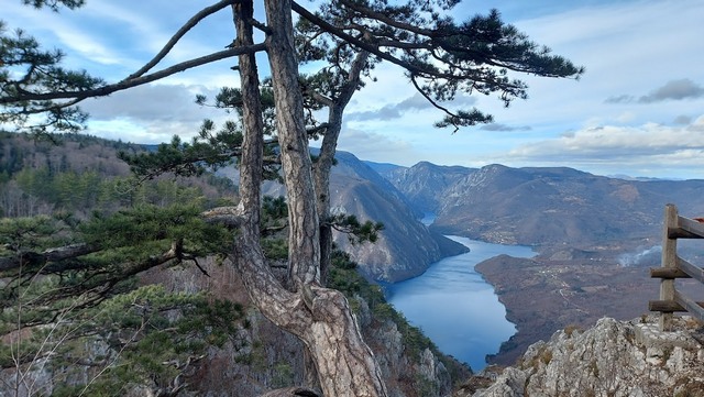 TARA – MITROVAC NA TARI, DOČEK NOVE GODINE